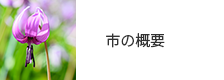市の概要