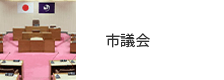 市議会